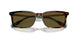 613773 - Tortoise - Olive Green