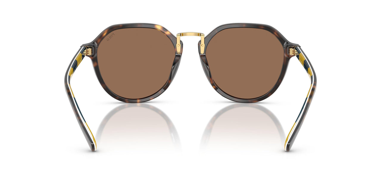 500373 - Tortoise - Dark Brown