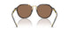 500373 - Tortoise - Dark Brown