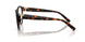 8015 - Tortoise