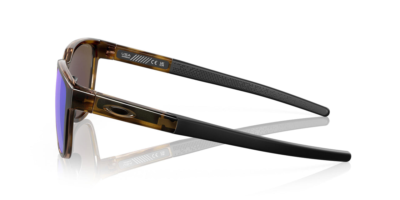 925004 - Tortoise - Prizm Sapphire Polarized