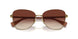 945813 - Gold - Gradient Brown