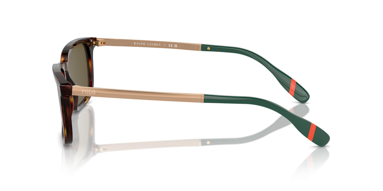 613773 - Tortoise - Olive Green