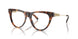3904 - Tortoise
