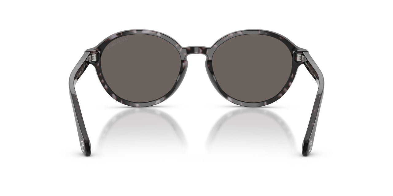6236B1 - Tortoise - Dark Grey