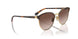 507813 - Brown - Brown Gradient