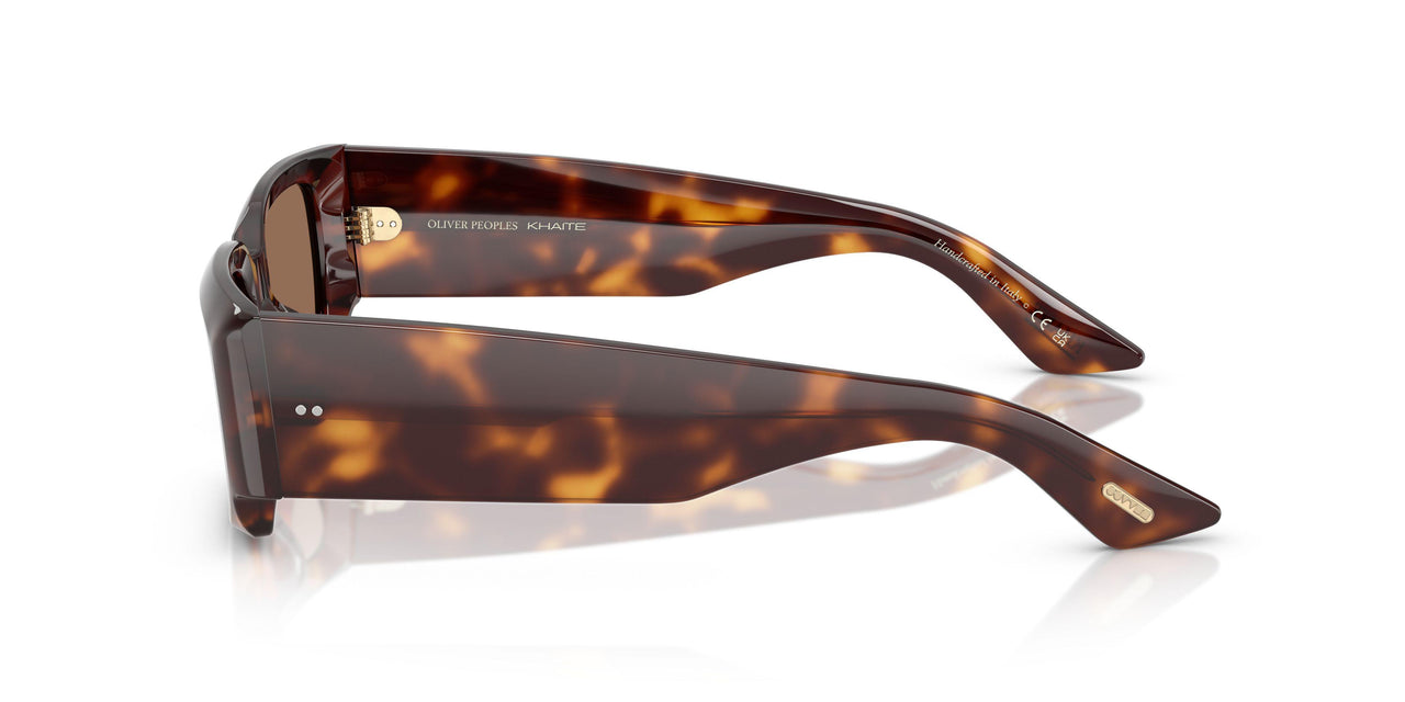 100773 - Tortoise - Brown
