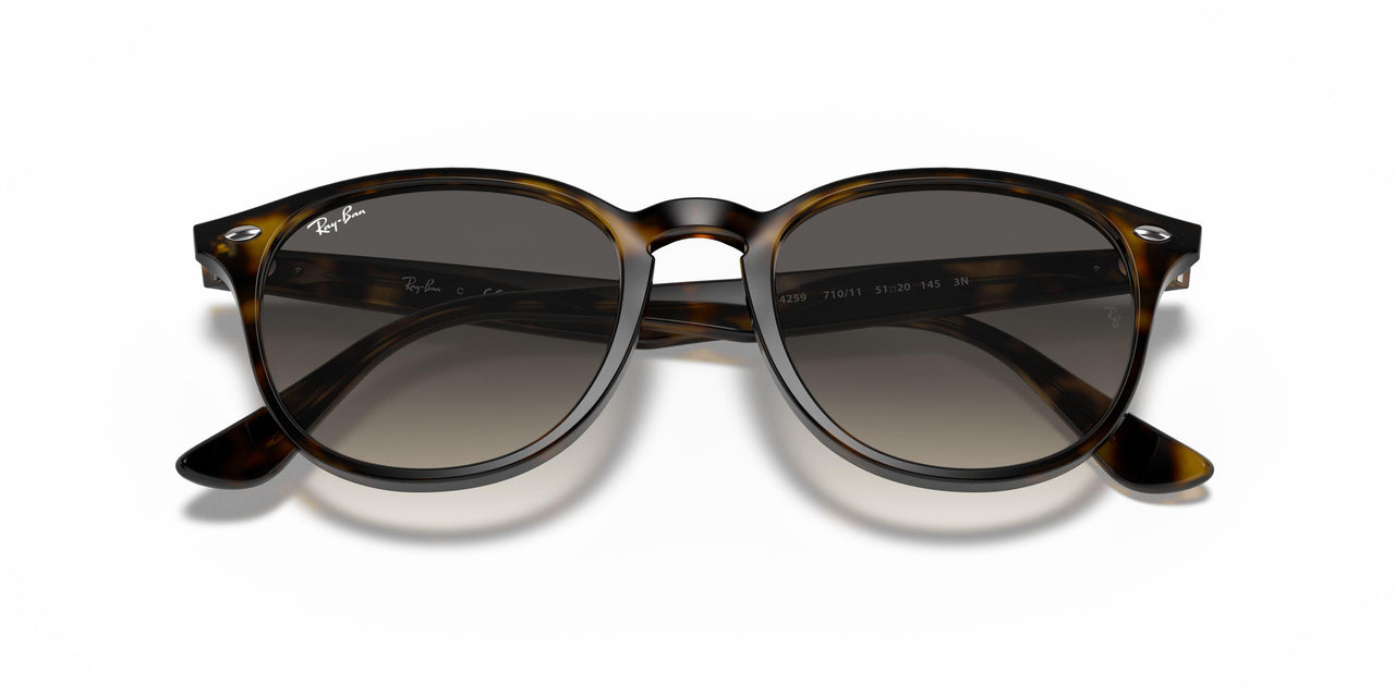 710/11 - Havana - Grey Gradient Dark Grey