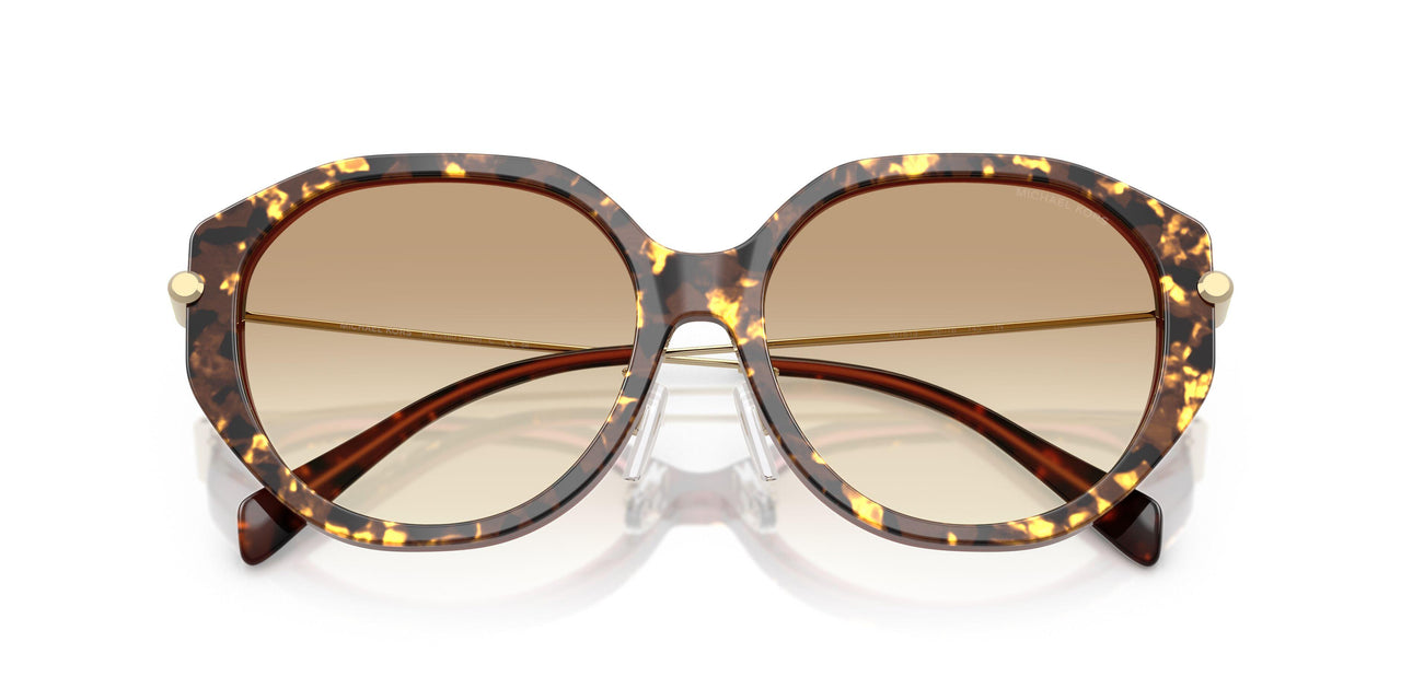401613 - Brown - Brown Gradient