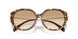 401613 - Brown - Brown Gradient