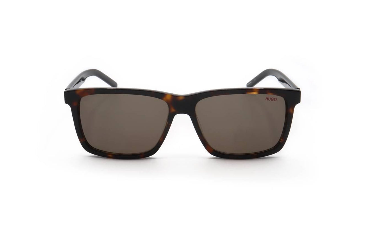 Hugo HG1013_SSAM Sunglasses