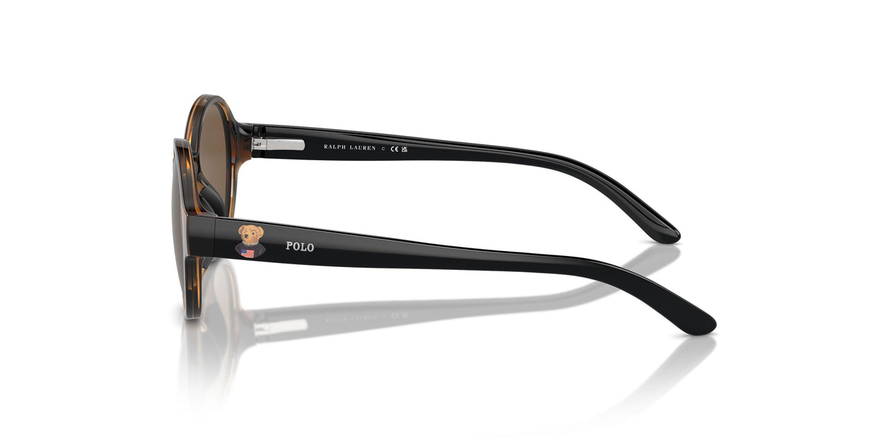 500373 - Brown - Brown