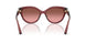 317511 - Brown - Brown Rose Gradient