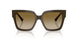 506013 - Green - Brown Gradient