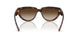 271813 - Brown - Gradient Dark Brown