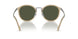 116931 - Brown - Green
