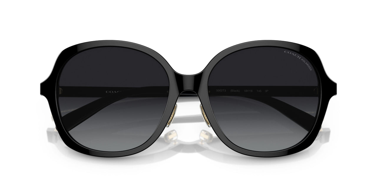 5002T3 - Black - Grey Gradient Polar