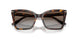 502689 - Tortoise - Grey Gradient Brown