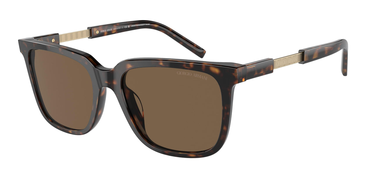 587973 - Tortoise - Dark Brown