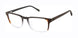 Ted Baker TM019 Eyeglasses
