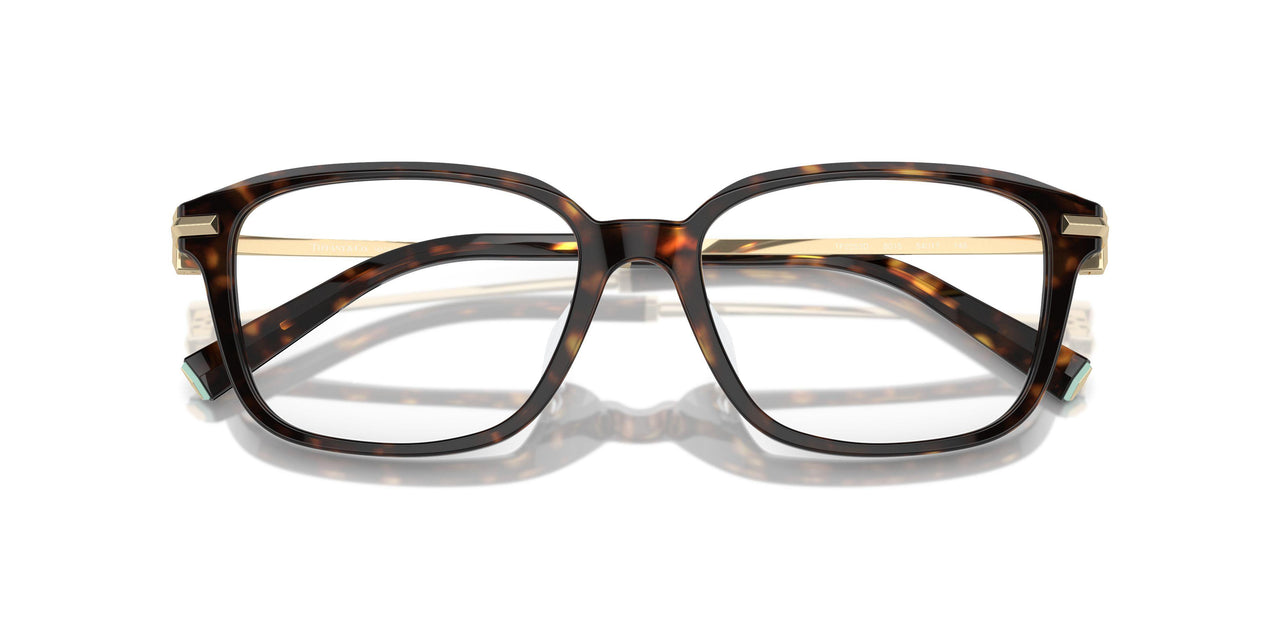 8015 - Tortoise