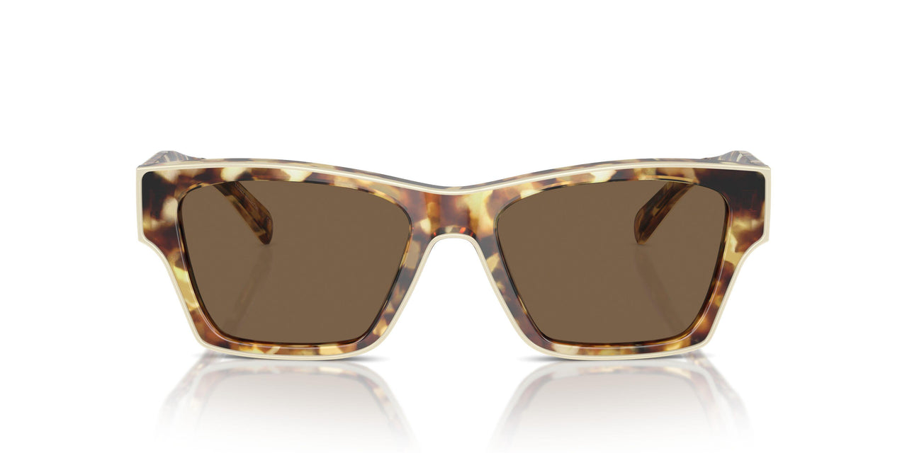 199873 - Tortoise - Dark Brown