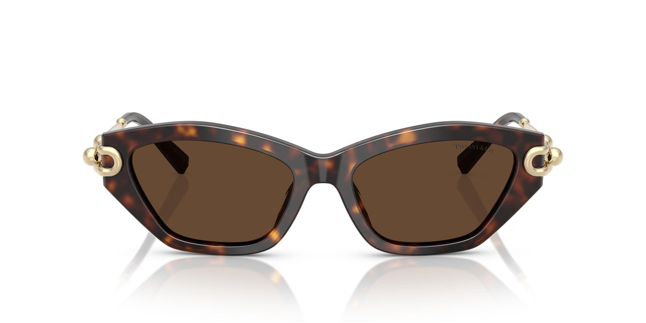 80153G - Tortoise - Light Brown