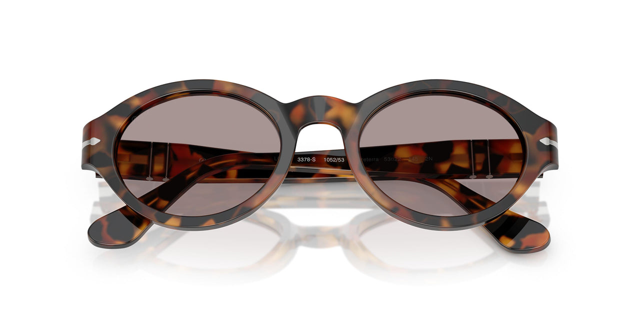 105253 - Tortoise - Violet