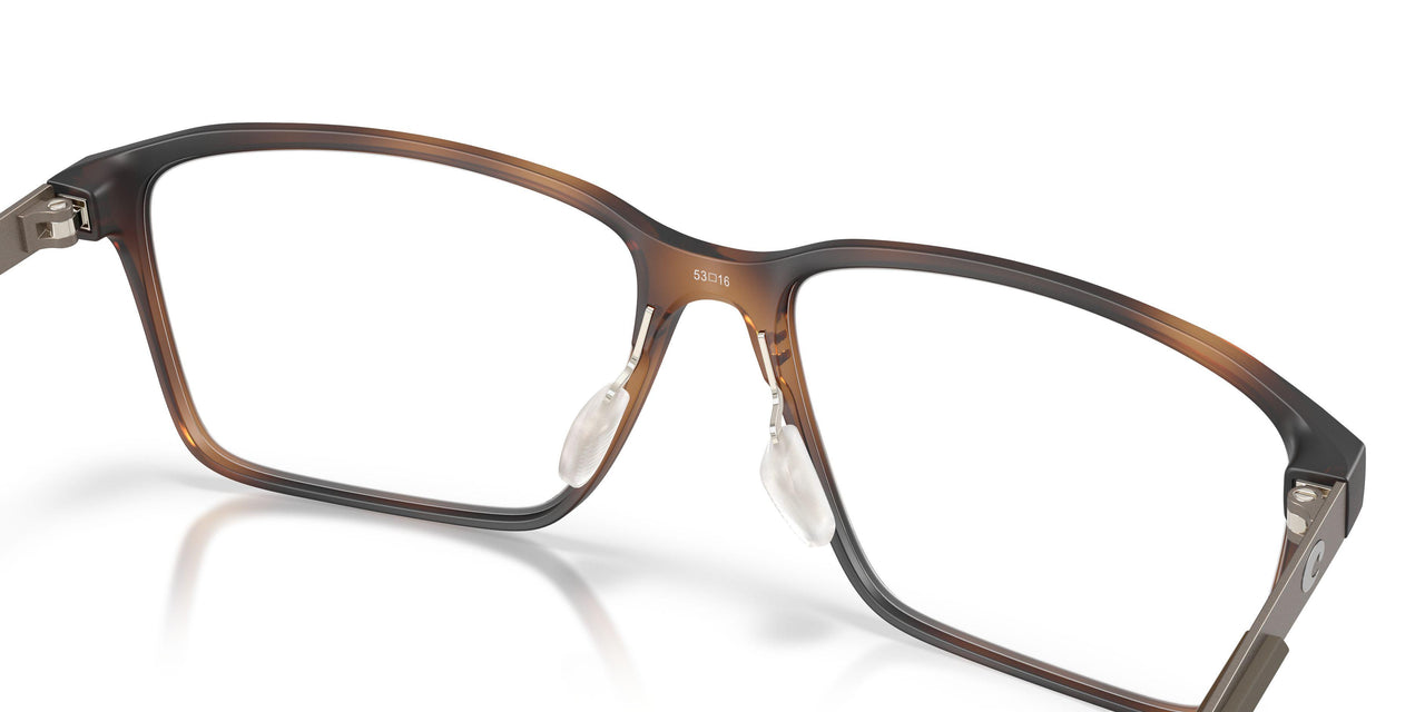 801204 - Tortoise