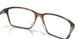 801204 - Tortoise