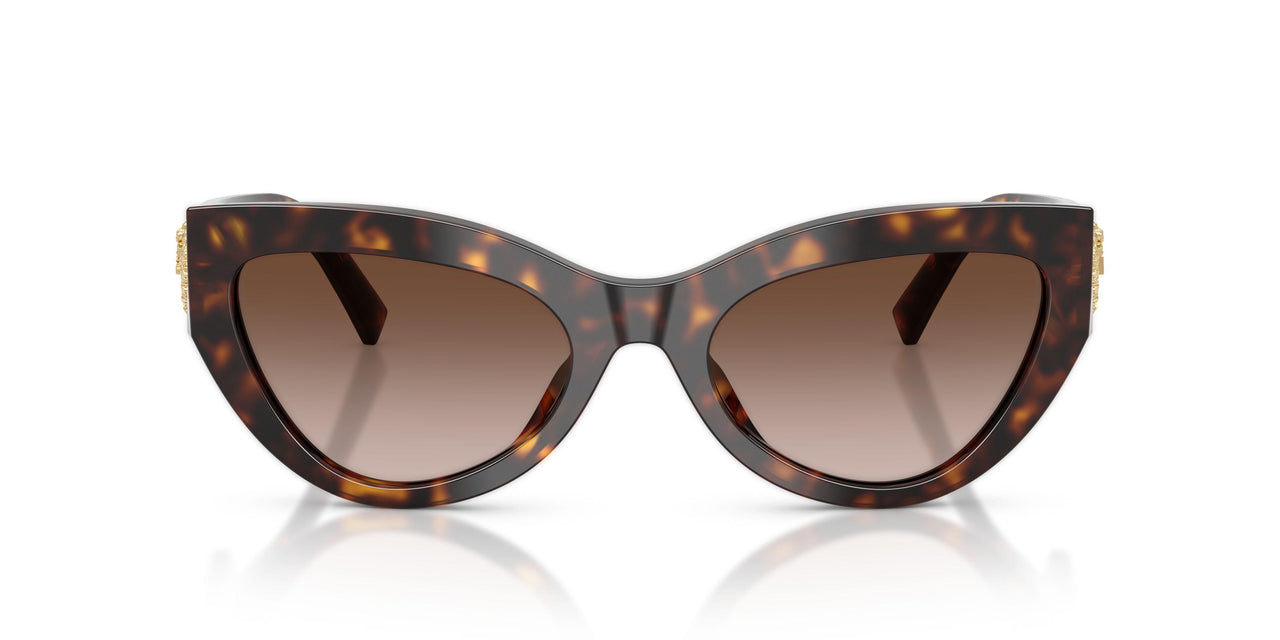 502/13 - Tortoise - Gradient Brown