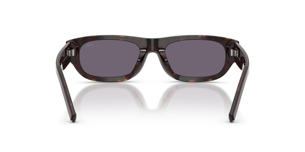 20691A - Brown - Violet