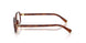 26E1O1 - Brown