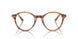 8359 - Tortoise - Clear