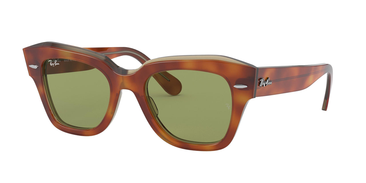 12934E - Top Tortoise/transparent Beige - Bottle Green