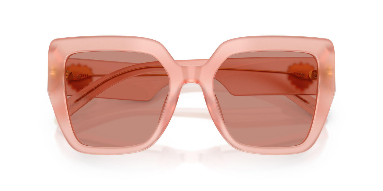 338496 - Pink - Dark Violet