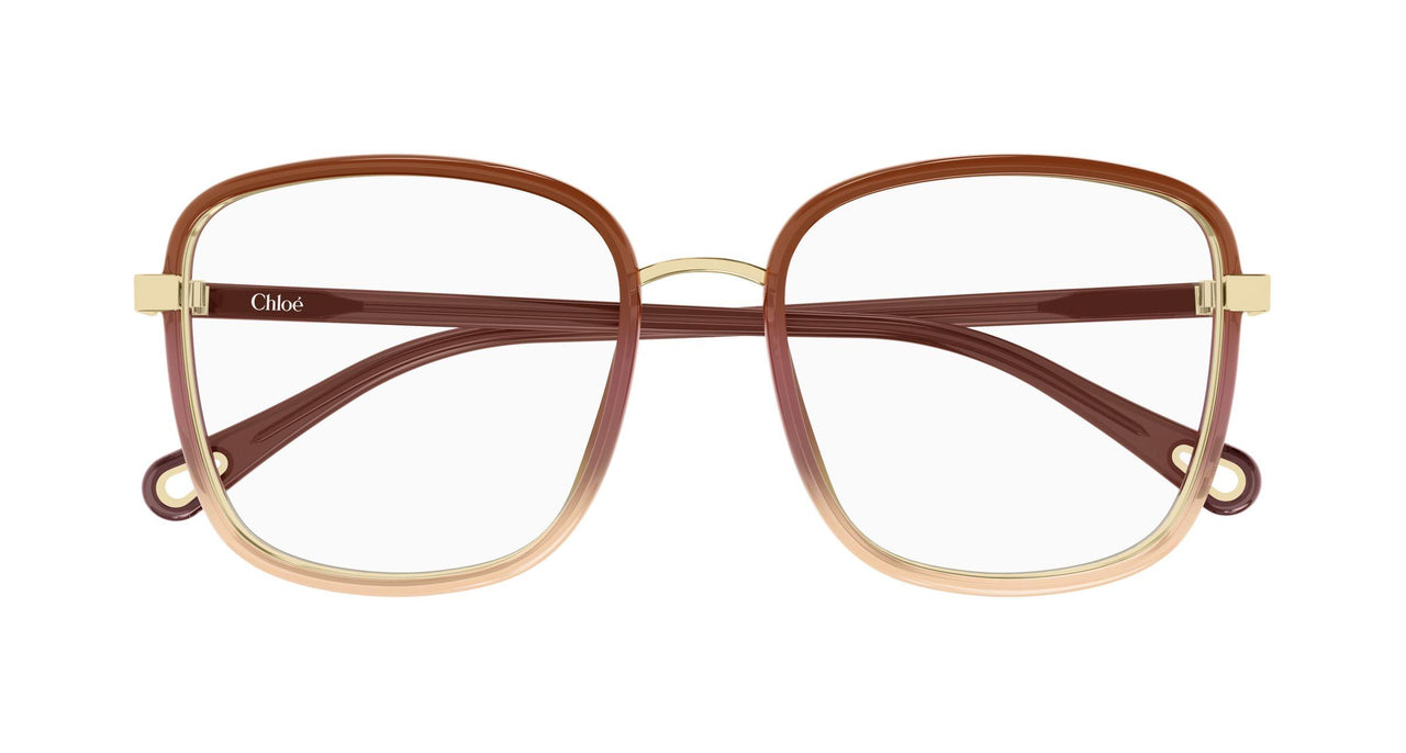 025 - Burgundy/Brown - Transparent