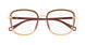 025 - Burgundy/Brown - Transparent