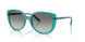 319111 - Green - Grey Gradient
