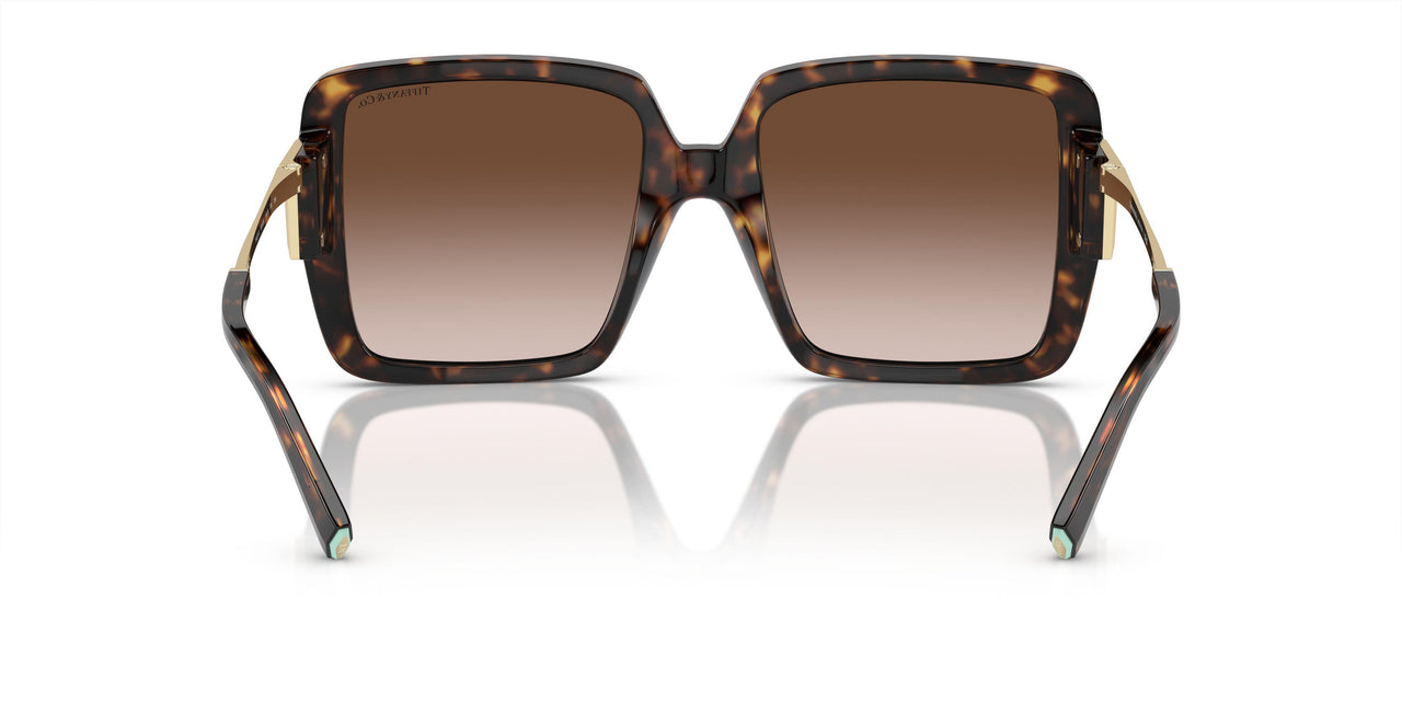 80153B - Tortoise - Brown Gradient