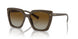 11J6E1 - Green - Polar Brown Gradient