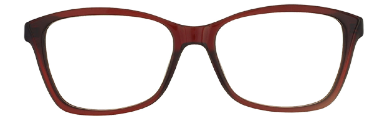 560 - Brown/leopard