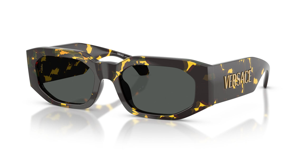 552887 - Tortoise - Dark Grey
