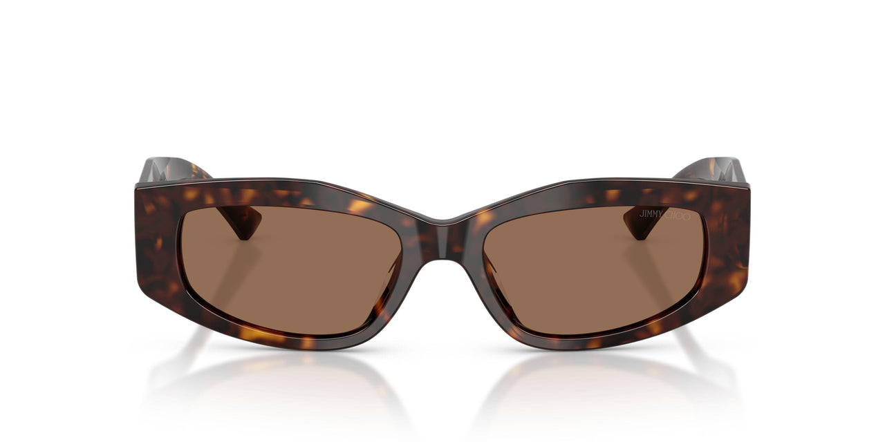 500273 - Tortoise - Dark Brown