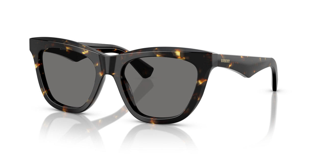 410681 - Tortoise - Dark Grey Polar