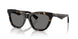 410681 - Tortoise - Dark Grey Polar