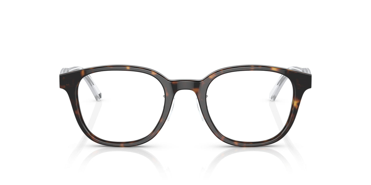 5026 - Tortoise