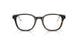 5026 - Tortoise
