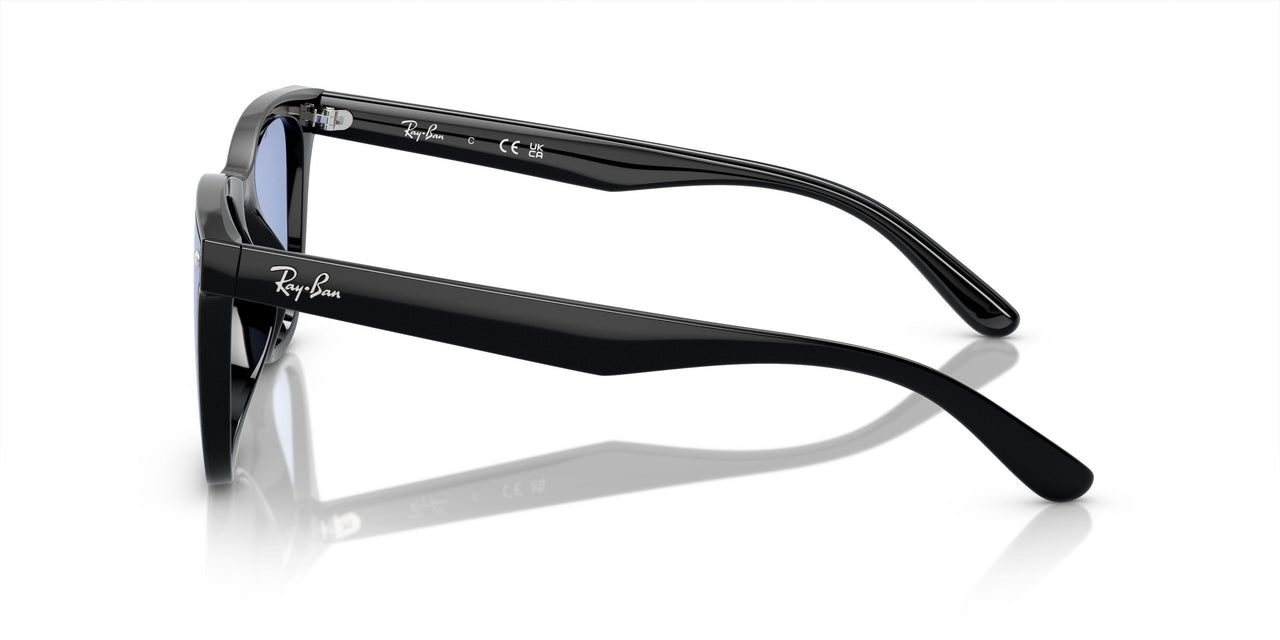 601/80 - Black - Blue