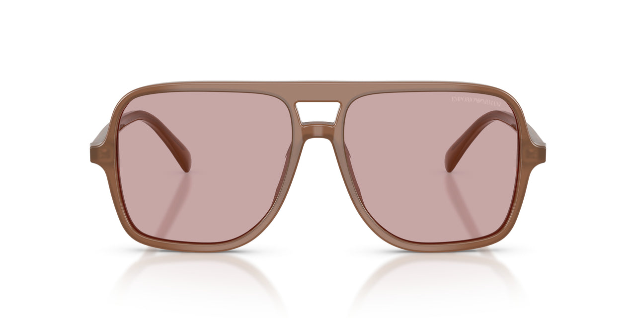 627173 - Brown - Pink